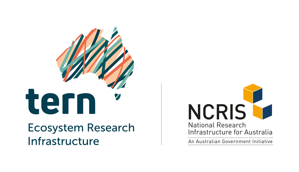 Terrestrial Ecosystem Research Network / National Collaborative Research Infrastructure Strategy